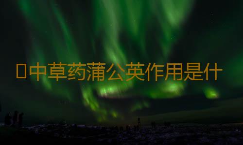 ​中草药蒲公英作用是什么