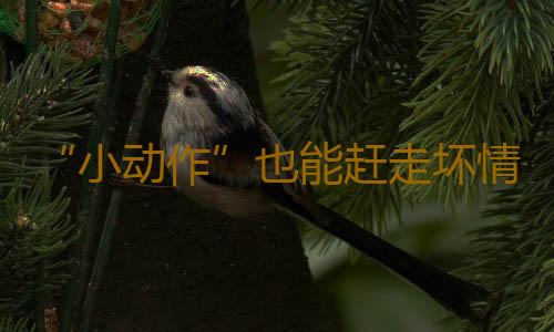 “小动作”也能赶走坏情绪