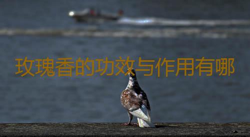 玫瑰香的功效与作用有哪些呢