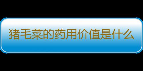 猪毛菜的药用价值是什么