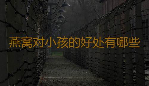 燕窝对小孩的好处有哪些