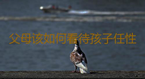 父母该如何看待孩子任性行为？