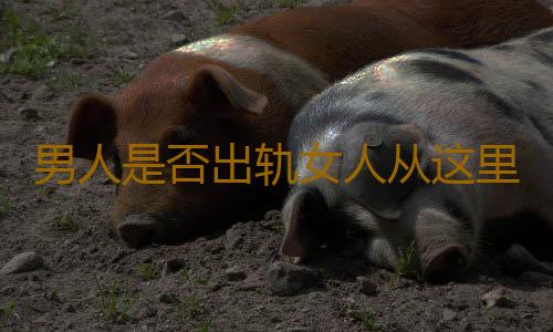 男人是否出轨女人从这里看出