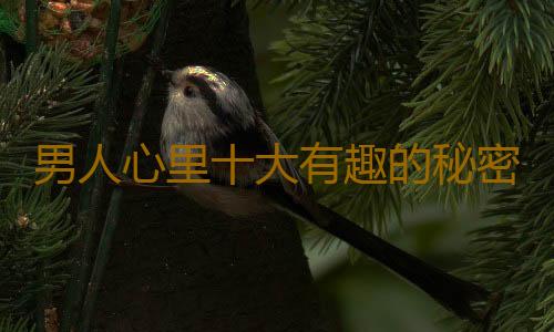 男人心里十大有趣的秘密