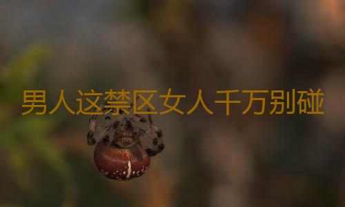 男人这禁区女人千万别碰