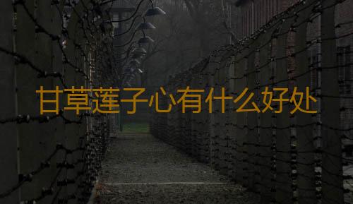 甘草莲子心有什么好处