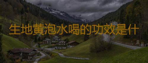 生地黄泡水喝的功效是什么