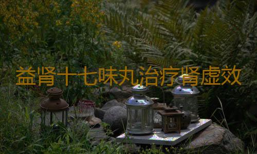 益肾十七味丸治疗肾虚效果怎么样