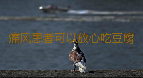 痛风患者可以放心吃豆腐