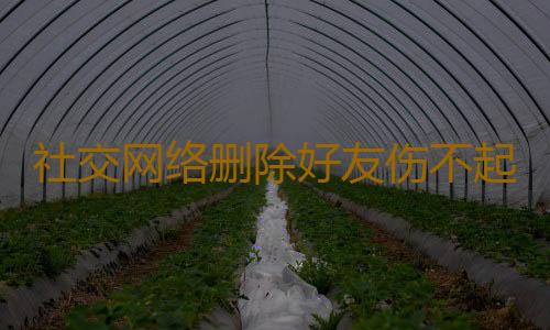 社交网络删除好友伤不起
