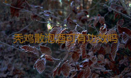 秃鸡散泡酒可有功效吗
