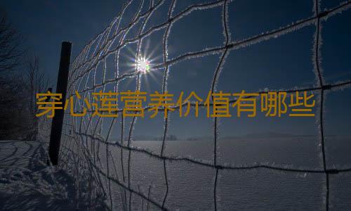 穿心莲营养价值有哪些