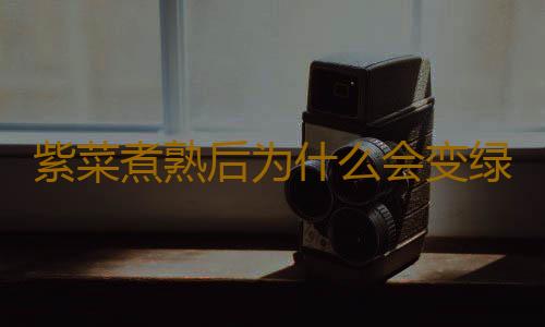紫菜煮熟后为什么会变绿？变绿的紫菜有毒吗？