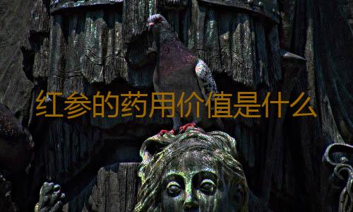 红参的药用价值是什么