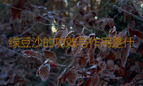 绿豆沙的功效与作用是什么