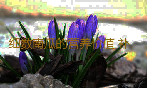 细数南瓜的营养价值 补血美容功效强！