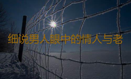 细说男人眼中的情人与老婆