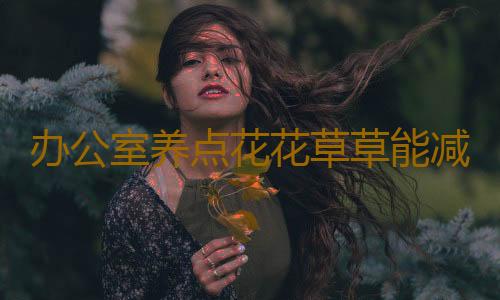 办公室养点花花草草能减压哦！