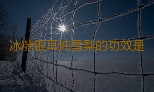 冰糖银耳炖雪梨的功效是什么呢