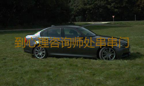 到心理咨询师处串串门