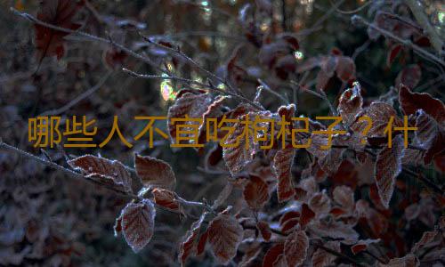 哪些人不宜吃枸杞子？什么人不能吃枸杞子