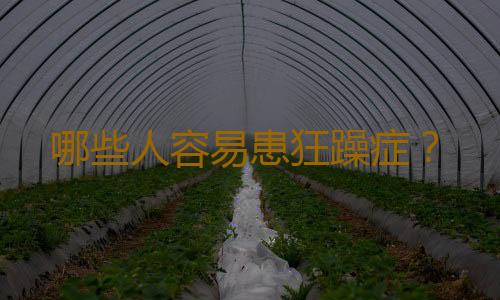 哪些人容易患狂躁症？