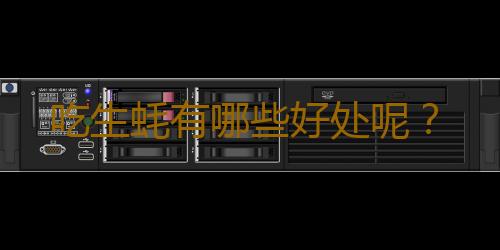 吃生蚝有哪些好处呢？