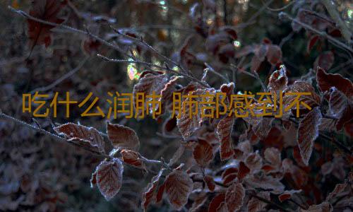 吃什么润肺 肺部感到不适吃这些管用