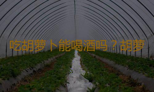 吃胡萝卜能喝酒吗？胡萝卜与酒同食的危害