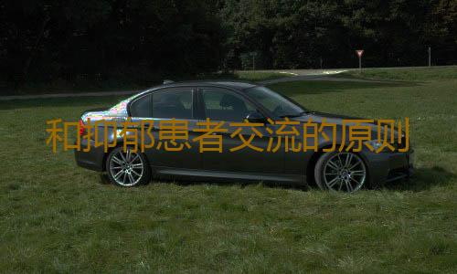和抑郁患者交流的原则