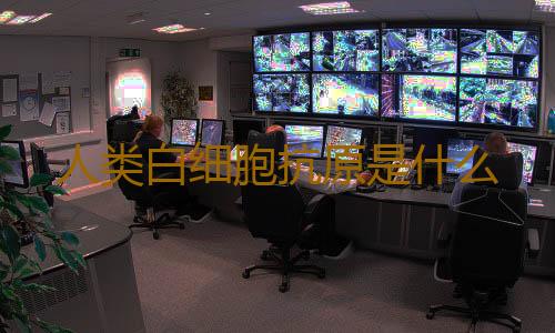 人类白细胞抗原是什么