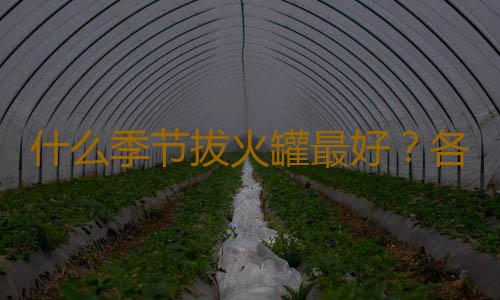 什么季节拔火罐最好？各季节拔火罐的注意事项
