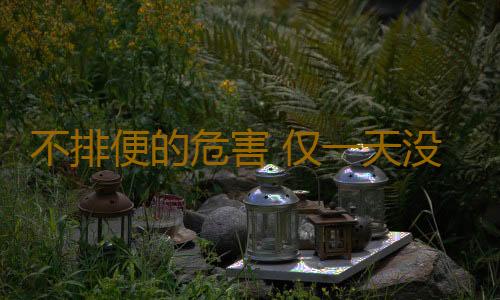 不排便的危害 仅一天没排便肠子竟脏成这样
