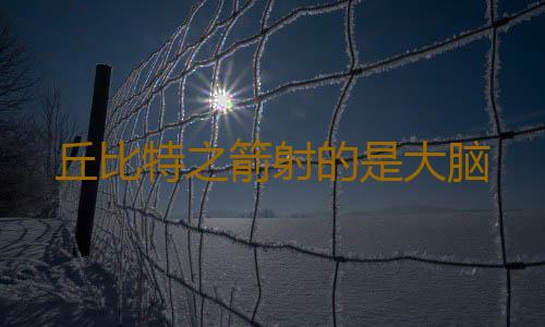 丘比特之箭射的是大脑