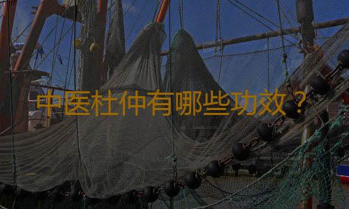 中医杜仲有哪些功效？