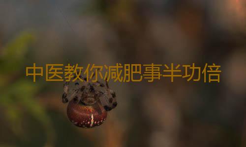 中医教你减肥事半功倍