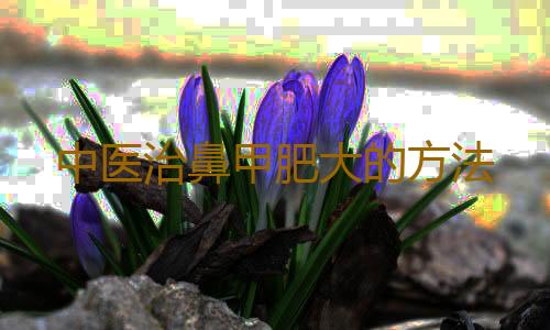中医治鼻甲肥大的方法