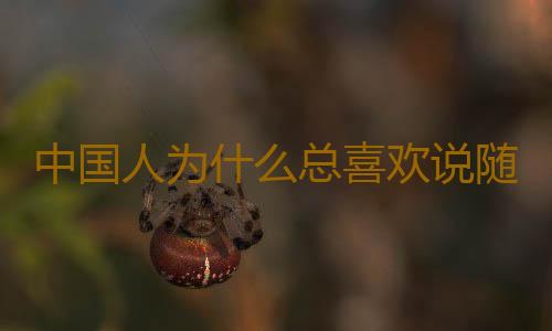 中国人为什么总喜欢说随便