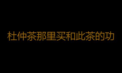 杜仲茶那里买和此茶的功效有什么