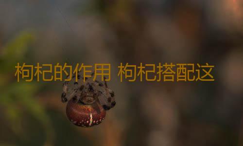 枸杞的作用 枸杞搭配这物抗衰老效果非凡