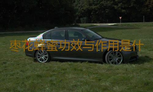 枣花蜂蜜功效与作用是什么