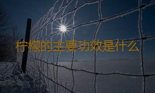 柠檬的主要功效是什么