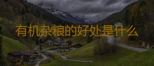 有机杂粮的好处是什么
