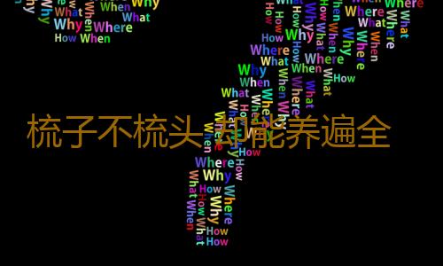 梳子不梳头 却能养遍全身