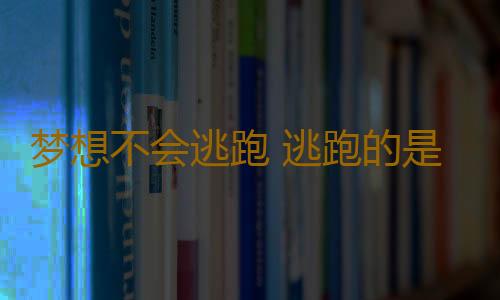 梦想不会逃跑 逃跑的是自己