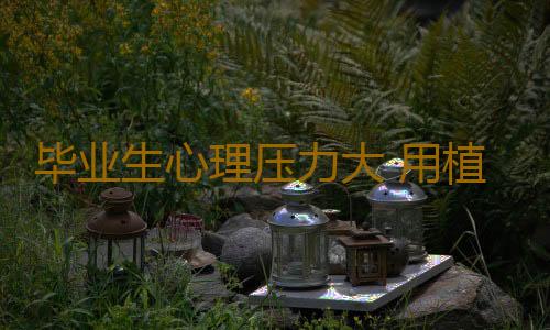 毕业生心理压力大 用植物精油调情绪