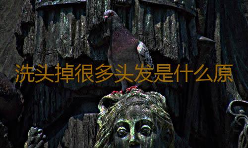 洗头掉很多头发是什么原因 导致掉发的原因