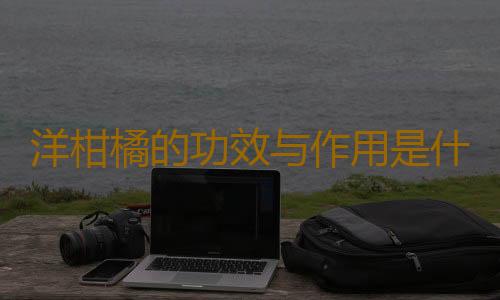 洋柑橘的功效与作用是什么