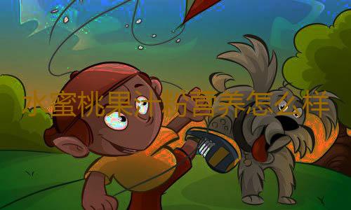 水蜜桃果汁粉营养怎么样？