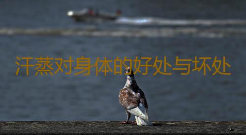 汗蒸对身体的好处与坏处有哪些